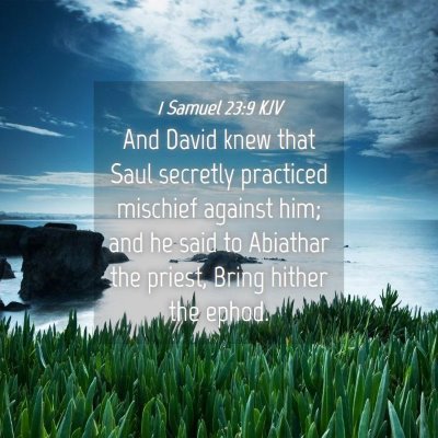 Picture 04 - 1 Samuel 23:9 KJV - And David knew that Saul secretly practiced - Bible Verse Picture