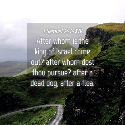 Picture 04 - 1 Samuel 24:14 KJV - After whom is the king of Israel come out? after - Bible Verse Picture