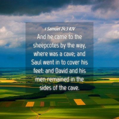 Picture 04 - 1 Samuel 24:3 KJV - And he came to the sheepcotes by the way, where - Bible Verse Picture