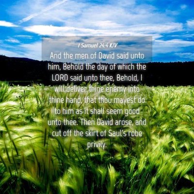 Picture 04 - 1 Samuel 24:4 KJV - And the men of David said unto him, Behold the - Bible Verse Picture