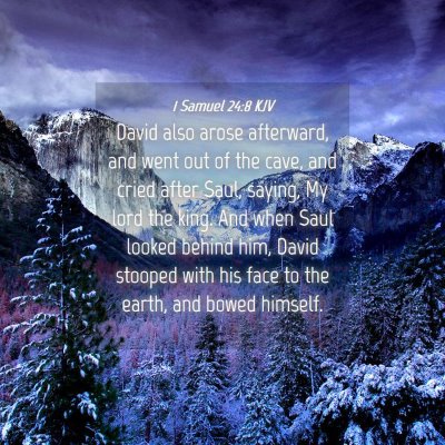 Picture 04 - 1 Samuel 24:8 KJV - David also arose afterward, and went out of the - Bible Verse Picture