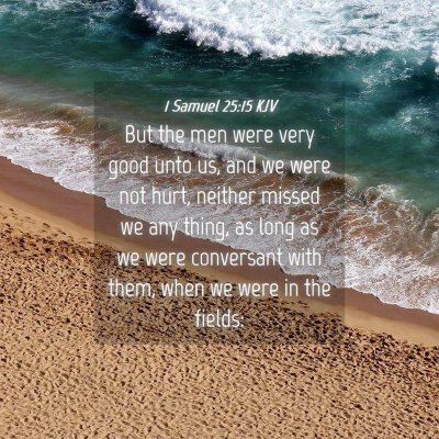 Picture 04 - 1 Samuel 25:15 KJV - But the men were very good unto us, and we were - Bible Verse Picture