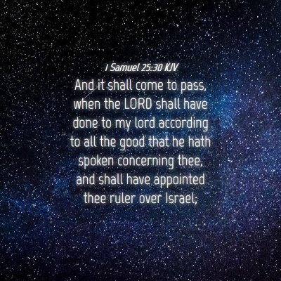 Picture 04 - 1 Samuel 25:30 KJV - And it shall come to pass, when the LORD shall - Bible Verse Picture
