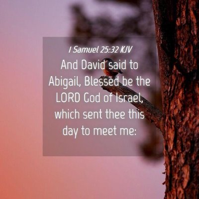 Picture 04 - 1 Samuel 25:32 KJV - And David said to Abigail, Blessed be the LORD - Bible Verse Picture