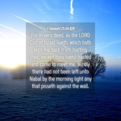 Picture 04 - 1 Samuel 25:34 KJV - For in very deed, as the LORD God of Israel - Bible Verse Picture