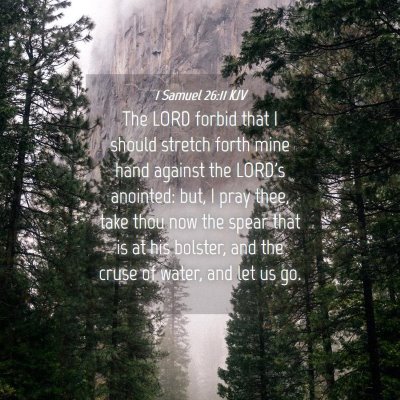 Picture 04 - 1 Samuel 26:11 KJV - The LORD forbid that I should stretch forth mine - Bible Verse Picture