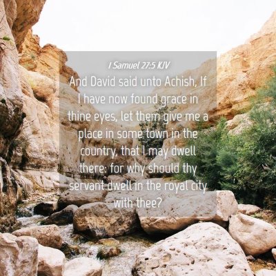 Picture 04 - 1 Samuel 27:5 KJV - And David said unto Achish, If I have now found - Bible Verse Picture