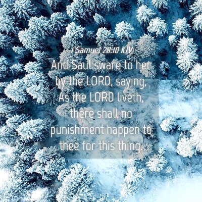 Picture 04 - 1 Samuel 28:10 KJV - And Saul sware to her by the LORD, saying, As the - Bible Verse Picture
