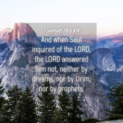 Picture 04 - 1 Samuel 28:6 KJV - And when Saul inquired of the LORD, the LORD - Bible Verse Picture