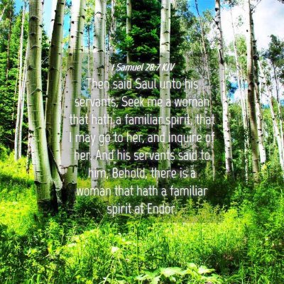 Picture 04 - 1 Samuel 28:7 KJV - Then said Saul unto his servants, Seek me a woman - Bible Verse Picture