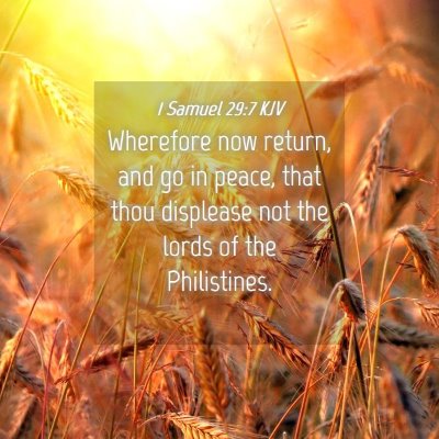 Picture 04 - 1 Samuel 29:7 KJV - Wherefore now return, and go in peace, that thou - Bible Verse Picture