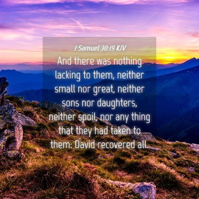 Picture 04 - 1 Samuel 30:19 KJV - And there was nothing lacking to them, neither - Bible Verse Picture