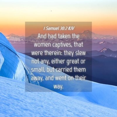 Picture 04 - 1 Samuel 30:2 KJV - And had taken the women captives, that were - Bible Verse Picture