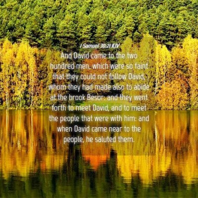 Picture 04 - 1 Samuel 30:21 KJV - And David came to the two hundred men, which were - Bible Verse Picture