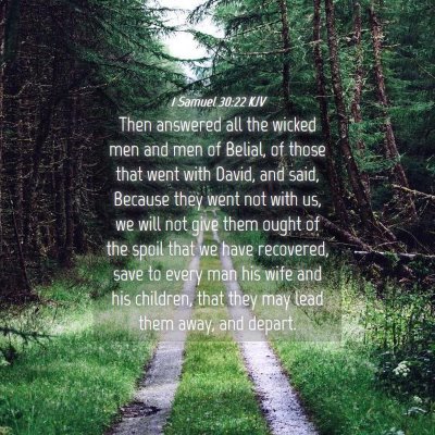 Picture 04 - 1 Samuel 30:22 KJV - Then answered all the wicked men and men of - Bible Verse Picture