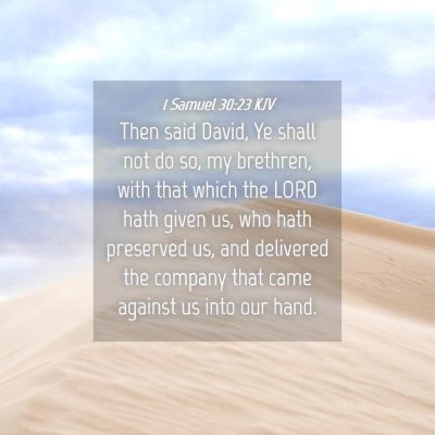 Picture 04 - 1 Samuel 30:23 KJV - Then said David, Ye shall not do so, my brethren, - Bible Verse Picture