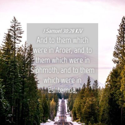Picture 04 - 1 Samuel 30:28 KJV - And to them which were in Aroer, and to them - Bible Verse Picture