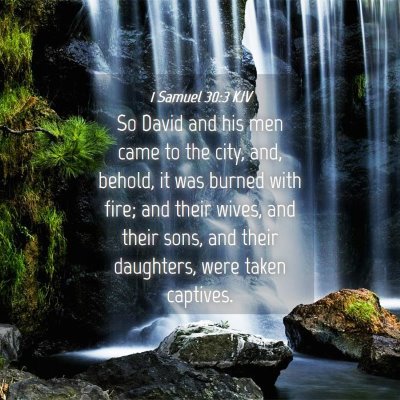 Picture 04 - 1 Samuel 30:3 KJV - So David and his men came to the city, and, - Bible Verse Picture