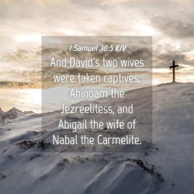 Picture 04 - 1 Samuel 30:5 KJV - And David's two wives were taken captives, - Bible Verse Picture