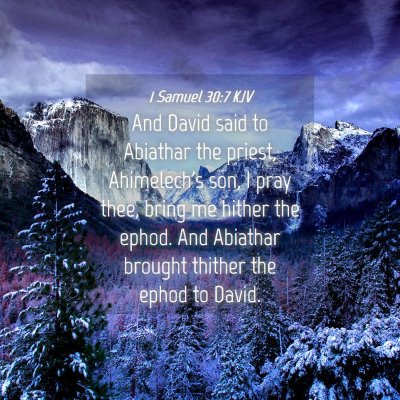 Picture 04 - 1 Samuel 30:7 KJV - And David said to Abiathar the priest, - Bible Verse Picture