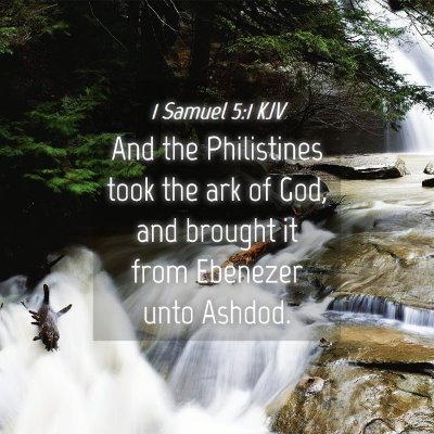 Picture 04 - 1 Samuel 5:1 KJV - And the Philistines took the ark of God, and - Bible Verse Picture