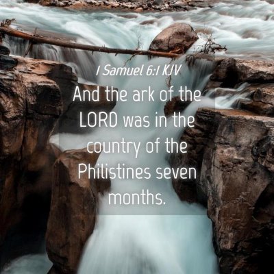 Picture 04 - 1 Samuel 6:1 KJV - And the ark of the LORD was in the country of the - Bible Verse Picture