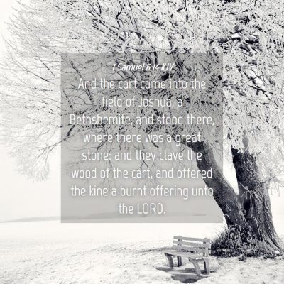 Picture 04 - 1 Samuel 6:14 KJV - And the cart came into the field of Joshua, a - Bible Verse Picture