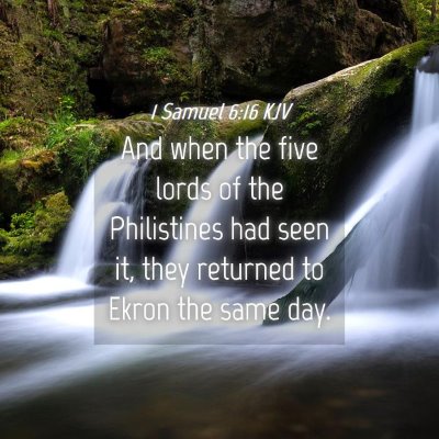 Picture 04 - 1 Samuel 6:16 KJV - And when the five lords of the Philistines had - Bible Verse Picture
