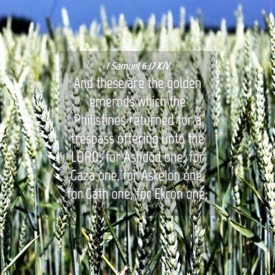 Picture 04 - 1 Samuel 6:17 KJV - And these are the golden emerods which the - Bible Verse Picture