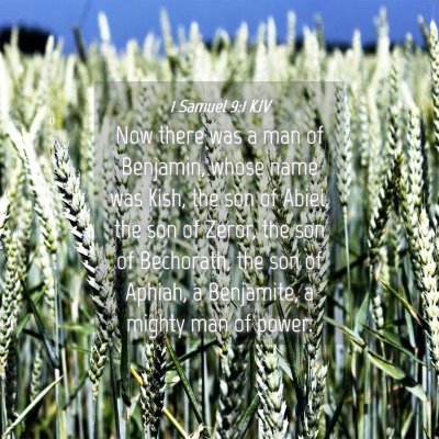Picture 04 - 1 Samuel 9:1 KJV - Now there was a man of Benjamin, whose name was - Bible Verse Picture