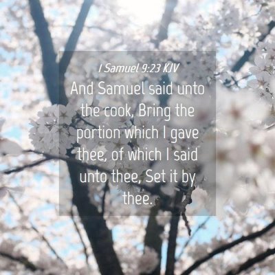 Picture 04 - 1 Samuel 9:23 KJV - And Samuel said unto the cook, Bring the portion - Bible Verse Picture