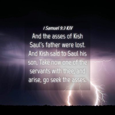 Picture 04 - 1 Samuel 9:3 KJV - And the asses of Kish Saul's father were lost. - Bible Verse Picture