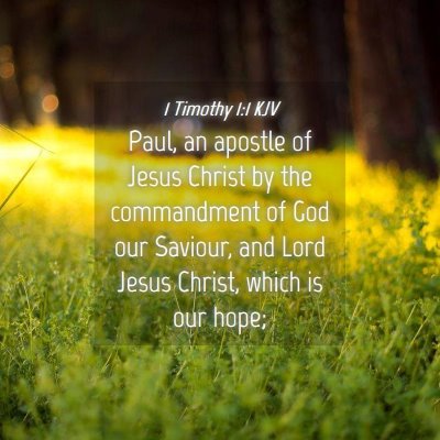 Picture 04 - 1 Timothy 1:1 KJV - Paul, an apostle of Jesus Christ by the - Bible Verse Picture