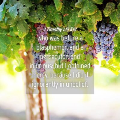 Picture 04 - 1 Timothy 1:13 KJV - Who was before a blasphemer, and a persecutor, - Bible Verse Picture