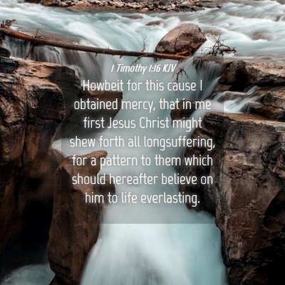 Picture 04 - 1 Timothy 1:16 KJV - Howbeit for this cause I obtained mercy, that in - Bible Verse Picture