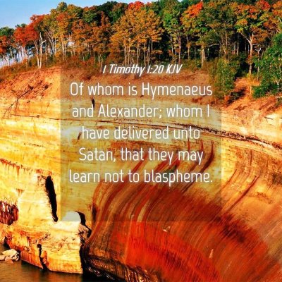 Picture 04 - 1 Timothy 1:20 KJV - Of whom is Hymenaeus and Alexander; whom I have - Bible Verse Picture