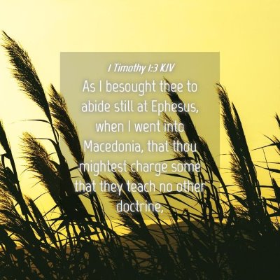 Picture 04 - 1 Timothy 1:3 KJV - As I besought thee to abide still at Ephesus, - Bible Verse Picture