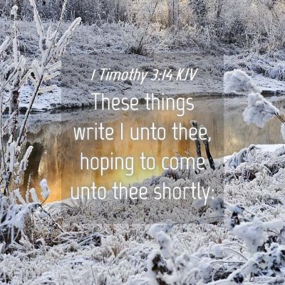 Picture 04 - 1 Timothy 3:14 KJV - These things write I unto thee, hoping to come - Bible Verse Picture