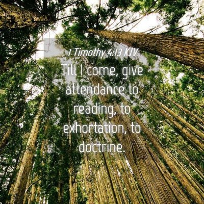 Picture 04 - 1 Timothy 4:13 KJV - Till I come, give attendance to reading, to - Bible Verse Picture