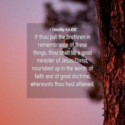 Picture 04 - 1 Timothy 4:6 KJV - If thou put the brethren in remembrance of these - Bible Verse Picture