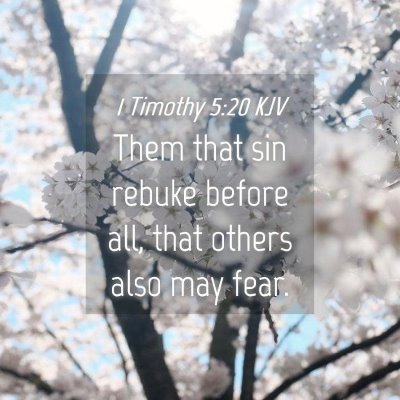 Picture 04 - 1 Timothy 5:20 KJV - Them that sin rebuke before all, that others also - Bible Verse Picture