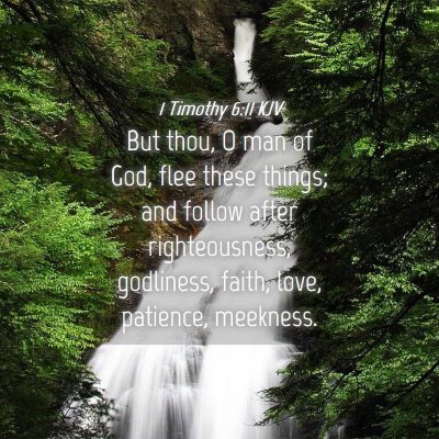 Picture 04 - 1 Timothy 6:11 KJV - But thou, O man of God, flee these things; and - Bible Verse Picture