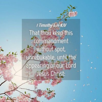 Picture 04 - 1 Timothy 6:14 KJV - That thou keep this commandment without spot, - Bible Verse Picture