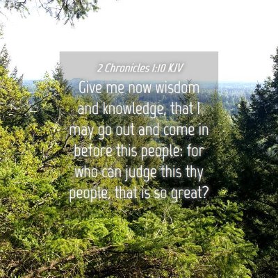 Picture 04 - 2 Chronicles 1:10 KJV - Give me now wisdom and knowledge, that I may go - Bible Verse Picture