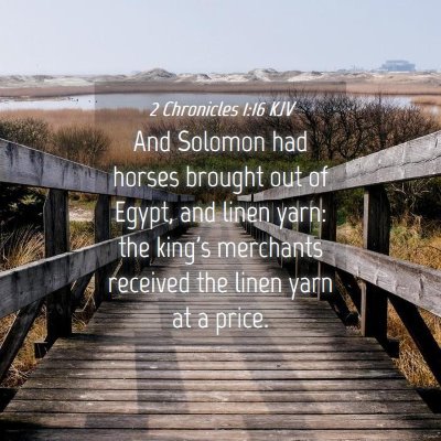 Picture 04 - 2 Chronicles 1:16 KJV - And Solomon had horses brought out of Egypt, and - Bible Verse Picture