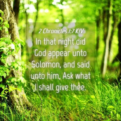 Picture 04 - 2 Chronicles 1:7 KJV - In that night did God appear unto Solomon, and - Bible Verse Picture