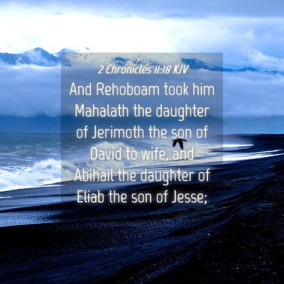 Picture 04 - 2 Chronicles 11:18 KJV - And Rehoboam took him Mahalath the daughter of - Bible Verse Picture