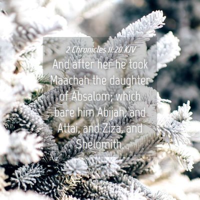 Picture 04 - 2 Chronicles 11:20 KJV - And after her he took Maachah the daughter of - Bible Verse Picture