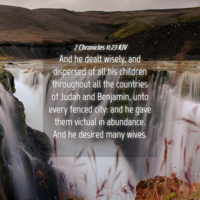 Picture 04 - 2 Chronicles 11:23 KJV - And he dealt wisely, and dispersed of all his - Bible Verse Picture