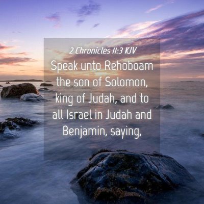 Picture 04 - 2 Chronicles 11:3 KJV - Speak unto Rehoboam the son of Solomon, king of - Bible Verse Picture